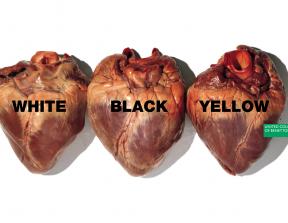 United Colors of Benetton / Oliviero Toscani & Tibor Kalman<br />photo credit: iconicphotos.wordpress.com / lenatereshkova.com /