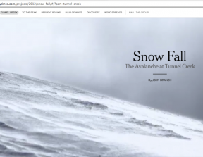 New York Times - "Snow Fall: The Avalanche at Tunnel Creek"<br />