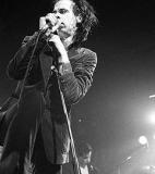 Nick Cave<br />photo credit: Wikipedia