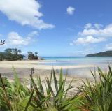 Tryphena, Great Barrier Island, New Zealand<br />photo credit: panoramio.com