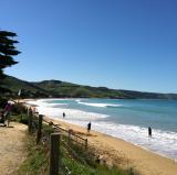 Apollo Bay Ocean Beach in Winter, Australia<br />photo credit: visitgreatoceanroad.org.au