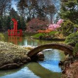 Brooklyn Botanic Garden, New York<br />photo credit: Wikipedia