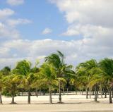 Crandon Park, Florida<br />photo credit: Wikipedia