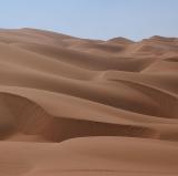 Any desert<br />photo credit: Wikipedia