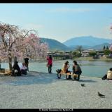 Kyoto, Japan<br />photo credit: facebook.com/visitkyoto