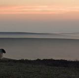 North York Moors, North Yorkshire, England<br />photo credit: Wikipedia