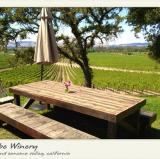 Scribe Winery, Sonoma, California<br />photo credit: gogobot.com