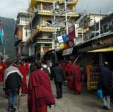 Dharamsala, Himachal Pradesh, India<br />photo credit: Wikitravel