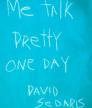 Me Talk Pretty One Day<br />photo credit: Wikipedia